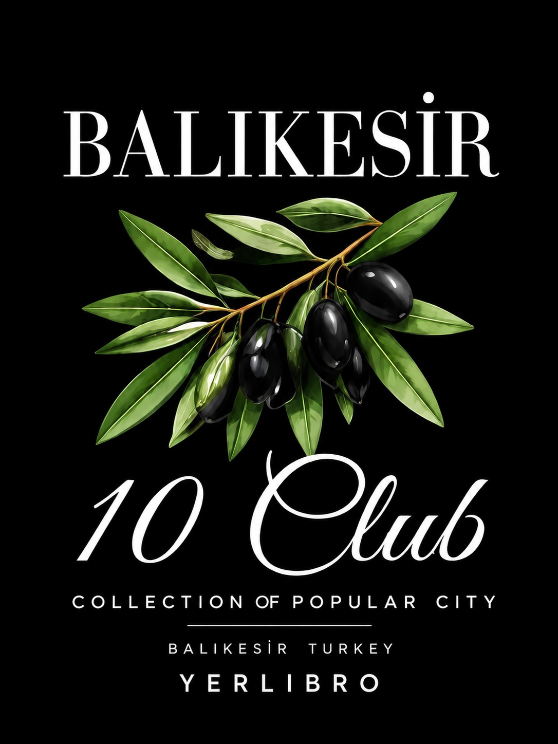 YERLIBRO BALIKESIR tişört